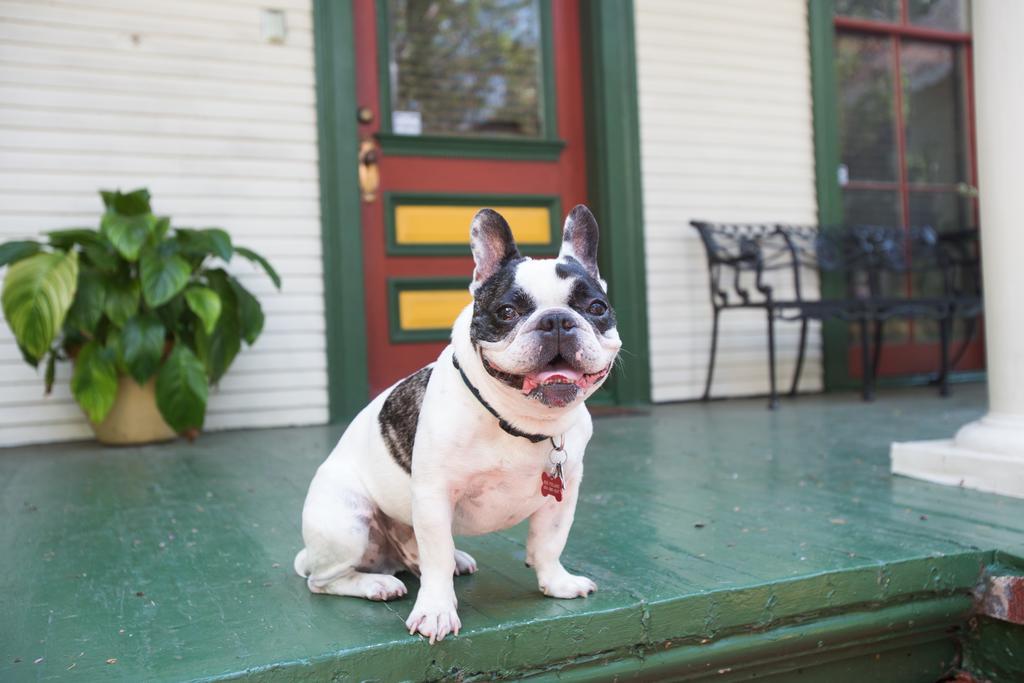 The Lookout Inn New Orleans Bagian luar foto